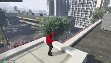 ::((((