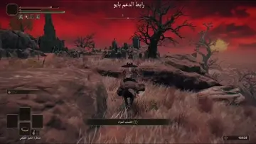 نزل مقطع