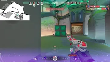 Ace
