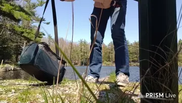 BABY BASS N FAT ASS