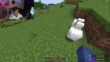 PONTE 11 MNECRAFT
