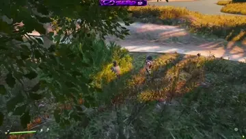wtf