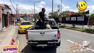 Asi se llevan el puerco de la Suprema96.1