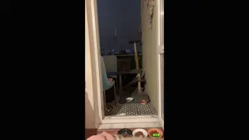 milo