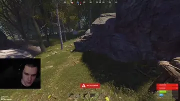 cockblocking chicken
