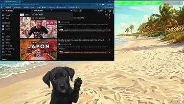 VIDEO 1