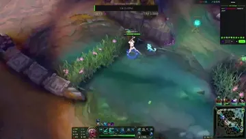nacizane