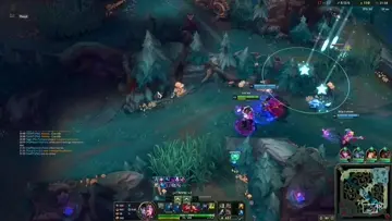 insec lee