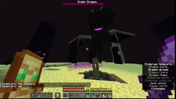 Did Bro Just One Shot the Ender Dragon 🤯