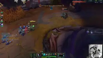 xd