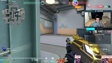 100de 100 white bird çıkar vp leri