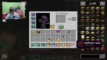 bug