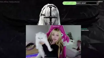 oha bu kim ya | !blerp !dc | Clip