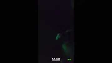 CAE MI ABUELO EN MITAD DE STREAM 