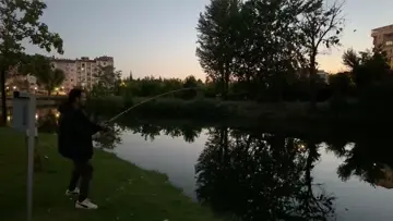 balııkkkk
