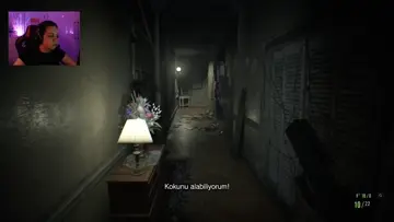 ay