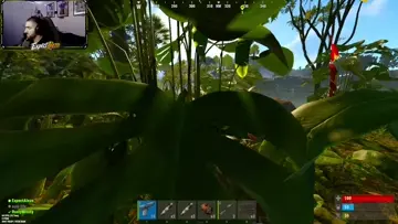 sasy kills 