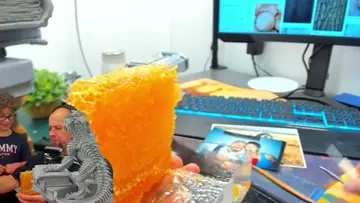 first time to try honeycomb