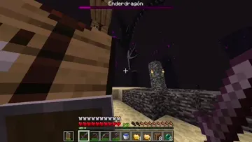 xd