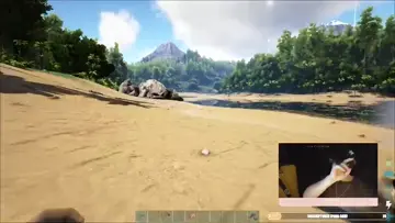 Se ahogo el dinosaurio xd