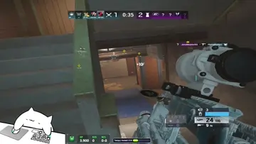 solid rush