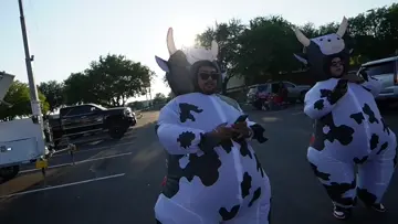 Carrera de vacas