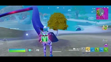 Fortnite wins 