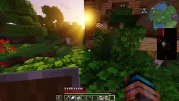 XD
