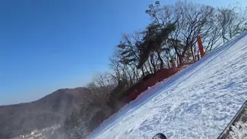 Harry Fails ski