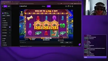 dog house 2k win