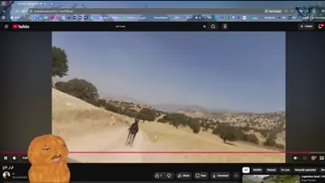 بژی ناگت