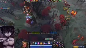 xd