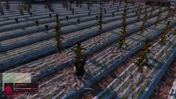 karma