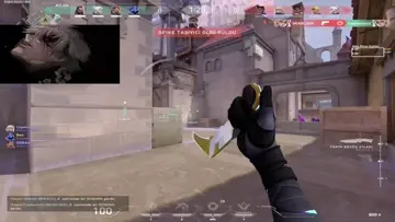 1 HP BELA