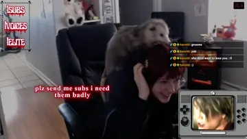 Morge grooming her owner :D