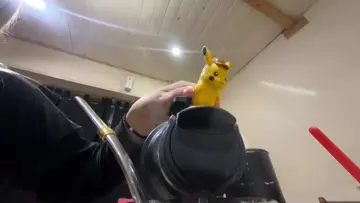 PIKA MURIO EN EL AGUA