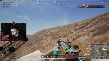 Another day another predator
