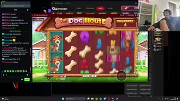 doggy bone 