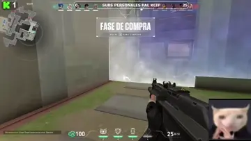 Opa