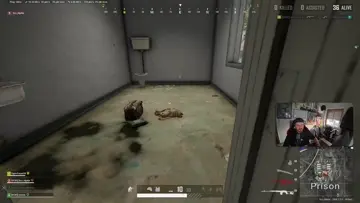 Peaceful encounter with a rat