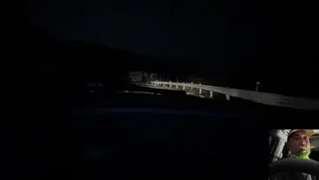 野犬の群れに囲まれる