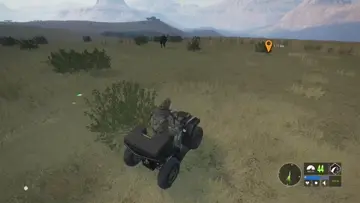 Buffalo