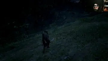 Bad kitty!