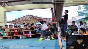 tu sobrino peleando