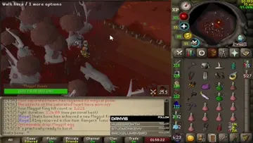 maggot king pet