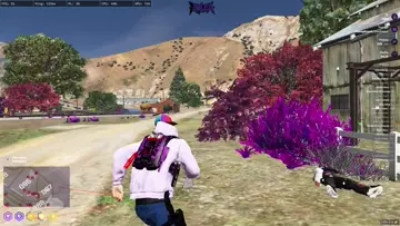 sdsd