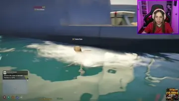 Un delfin.... secuestrador