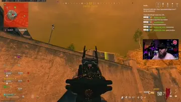 man vs bush