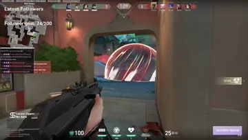 Sage ace