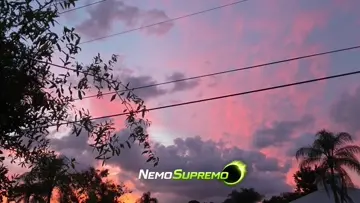 cotton candy sunrise